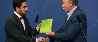Enögd enmansutredare