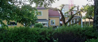 Hemlösheten kartläggs
