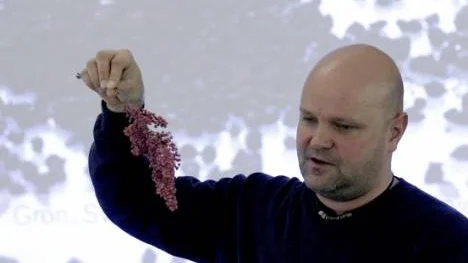 Rosépeppar är inte samma frukt som svart- och vitpeppar, berättade Jouni Ekström.