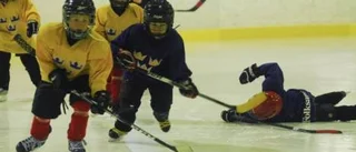 En hockeyfest med hemvändare