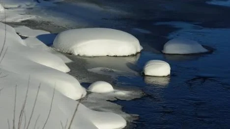 Is- och snöskulpturer i Alterälven, där strömfåran vidgar sig dag från dag och strömstaren hurtigt hoppar ned i vattnet och söker föda.