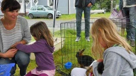 Kaninutställningen under Vistträskdagen ledde till en gosigare stämning trots vädret.