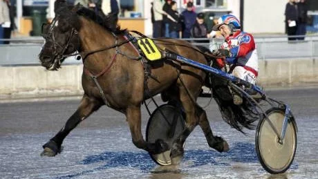 Vinnare. Mats Åke Nilsson vann med 34-oddsaren Rapphed och 11-oddsaren Ekin.