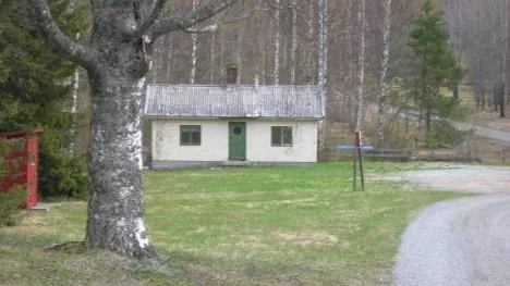 Gammal björk. Gammalt hus. Regn. Rosfors.