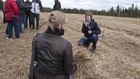 Cecilia Wahlberg Roslund, Hushållningssällskapet, fotograferade både rörflen och GME:s Anna Lundmark i samband med studiebesöket.