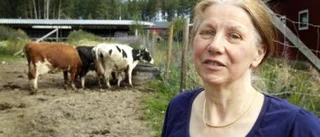 Tusen timmars jobb spåra flyende kvigor