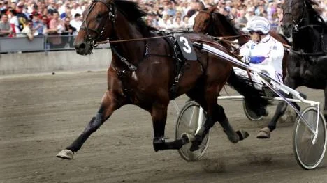Robert Bergh trav