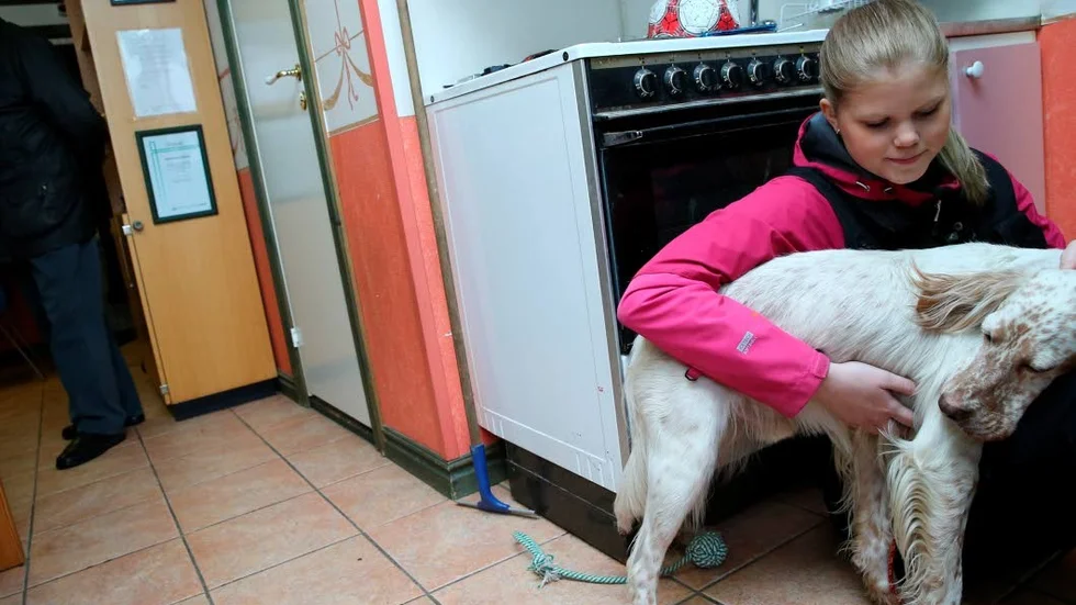 Känslosamt avsked. I morgon fredag reser hunden Billy hem igen då hans husse hämtade honom på torsdagsförmiddagen. Det blev ett känslosamt avsked för de som tagit hand om honom.