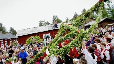 Vad vore en midsommar utan resningen av midsommarstången? På friluftsmuseum Hägnan inträffade det vid 13-tiden på midsommarafton. 
Foto: Ida Axelsson