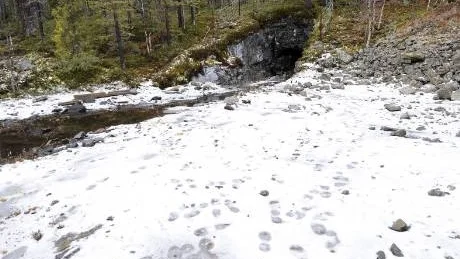 NAUTANEN?  Nautanenområdet med sina djupa lodräta och horisontella gruvschakt ligger på bara 15-30 minuters köravstånd från Stenbron. Ett område som 50-åringen från Malmberget känner "som sin egen byxficka" enligt nära bekanta som vill att polisen undersöker området för att finna Carolin Stenvalls kropp.