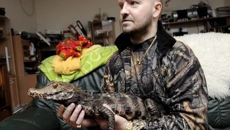 REPTIL. Esa Rano visar upp sin sexåriga kajmanhona. Den är släkt med krokodilen, men som synes inte lika stor.