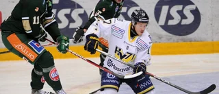 Nyförvärvet vill få med sig Ledin till Luleå