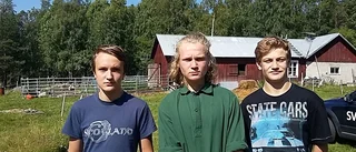 Ungdomar prisas för hjälteinsats