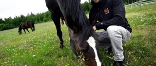 Rädslan sprider sig