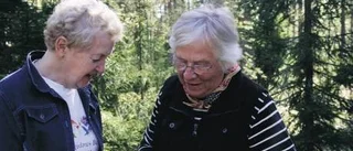 Svampvandring på Ormberget