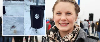 Toppolitiker rasar mot bajset
