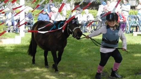 Barn och ponnyer från Arvidsjaurs ryttarförening hade uppvisning i  Shettis-agility utanför äldreboendet Ringelsta. Flickan på övre bilden heter Matilda Norberg och flickan på nedre bilden heter Hilma Alexandersson.