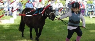 Häst-agility lockade många