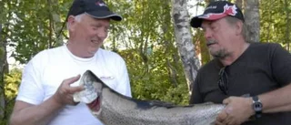 Mästerskap i trollingfiske