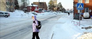 "Borde satsa på väg 99 i stället"