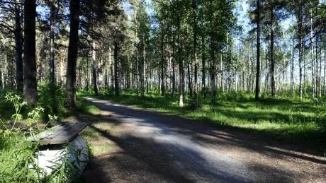 BOSTÄDER. På Mjölkuddens sydspets finns ett obebyggt område som snart kan rymma 200-270 lägenheter om NCC får som de vill. Kommunen är mycket positiv.Foto: Linda Wikström
