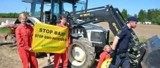 Upprörda känslor mot nya GMO-aktioner
