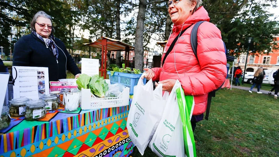 Gillar grönt. Karin Melin köpte sallad och lök av Birgitta Rehnberg, Ekoringen.
