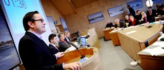 "Det låter väldigt märkligt"