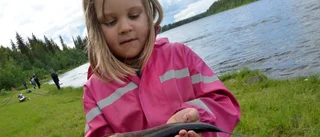 Trångt bland fiskarna