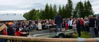 Många på auktion i Kallön