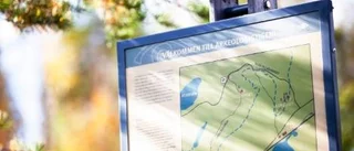 Benfynd från arkeologistigen ger ny kunskap