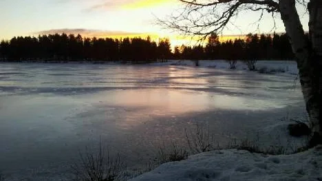 Morgonpromenad runt  Nyborgstjärn, Arvidsjaur.
