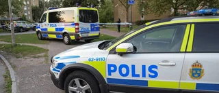 Polisen i sommarland