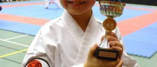 Fem karateguld