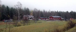 Nystartat företag med hästen som terapi