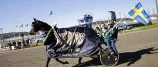 Experten tycker till