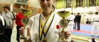 Spännande karatefighter