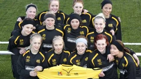 Mer än ett helt lag - så många nyförvärv kommer Infjärdens SK med den här säsongen i division 2. Övre raden, från vänster: Amanda Lundström, Jenny Lindgren, Ida Hedqvist, Malin Wiklund. Mellanraden, från vänster: Beatrice Hedquist, Jessica Olovsson, Katarina Carlsson, Anna Nilsson. Främre raden, från vänster: Paulina Hedquist, Sofia Borg, Malin Johansson, Rebecka Elvhäger samt Sofie Holmbom.