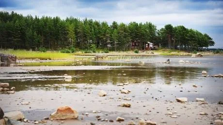 Stadsbyggnadsnämnden föreslås få i uppdrag att ta fram en detaljplan för Rörbäcks camping, som ska göra det möjligt att bygga ut anläggningen.