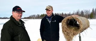 Konstgjorda bon ska rädda sjöfåglarna