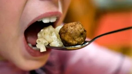 Mumsiga bular. Köttbullar ger en måltid med bra proteinhalt, när det gäller falukorv - välj en korv med hög kötthalt för bättre näringsstatus.Foto: Claudio Bresciani / SCANPIX