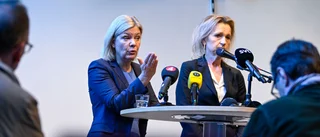 Gängen "en fara för hela Sverige"