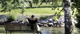 En park med många ansikten
