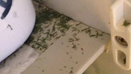 Smuts. En av bristerna i köket var smuts i kylarna.