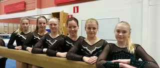 Stora framgångar för länets gymnaster
