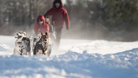 MÅSTE PASSERA. Att åka hundspann är populärt bland turister, inte minst i området kring Jukkasjärvi. På hundspannsturen är det tyvärr ofta helt oundvikligt för hundföraren att korsa en väg. Personerna och hundspannet på bilden har ingen koppling till artikeln. Foto: Carolina Makkula / Arkiv