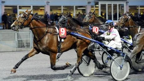 SEGER. Med Gunnel Fredriksson i sulkyn vann Kenseth Hanover Peabtravets lopp 3, som var den första avdelningen på V65-kupongen.