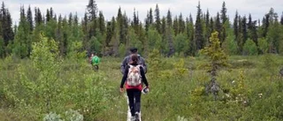 Promenad i rallarnas spår