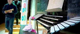 Kryddad orgel