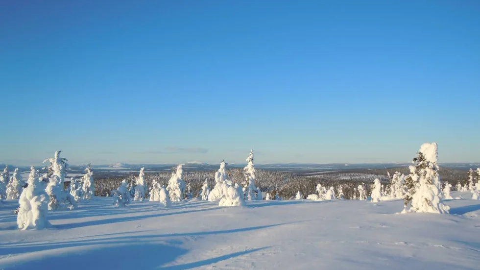 Schnee. Det tyska ordet för snö är titeln på Norrbotten Neos nya konsertprogram och på dess avslutande verk.